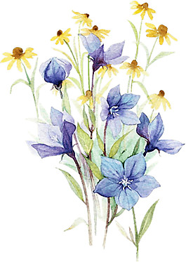 紫色花朵鮮花矢量元素素材