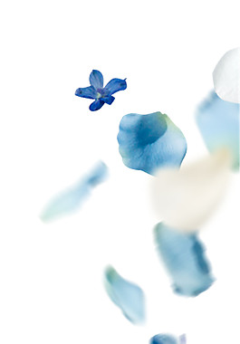 手繪藍色水墨花素材圖片