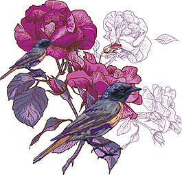 紫色花朵小鳥(niǎo)素材圖片