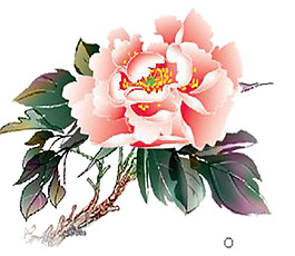 粉色花朵鮮花素材圖片