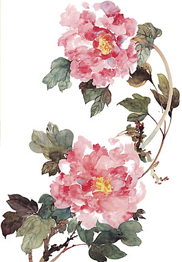 粉色花朵鮮花素材圖片