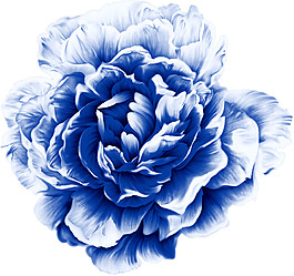 深藍(lán)色花朵素材圖片