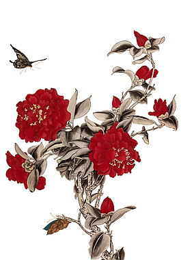 紅色花朵素材圖片