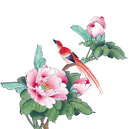 粉色花朵鮮花素材圖片