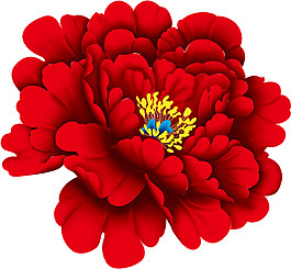 紅色花朵素材圖片