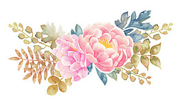 紅色花朵素材圖片