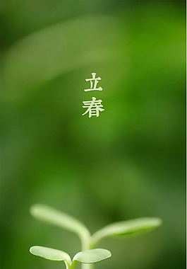 綠葉立春H5背景素材