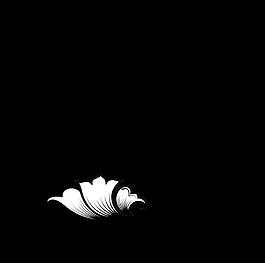 花紋線條生長動畫視頻素材