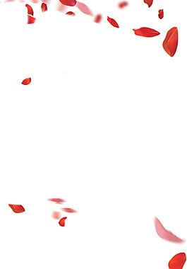 红色玫瑰花瓣装饰图案