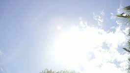 穿越树木的阳光