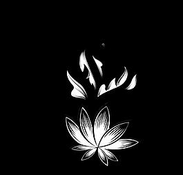 黑白簡約線條花紋生長視頻素材