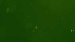 白色的旋转粒子在绿色背景下