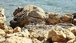 巖石在海