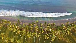 飛越棕櫚樹(shù)的航班向Ocean傾斜。