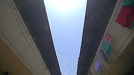 追踪鹰飞过街道的镜头