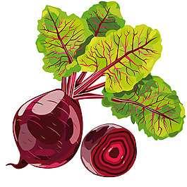 蘿卜矢量蔬菜