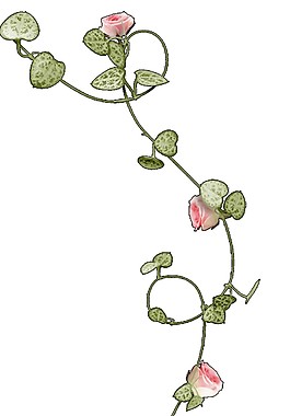简约花藤图案元素