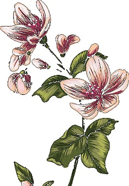 彩繪花朵圖案元素