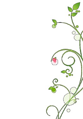 唯美明信片装饰花藤图案PNG