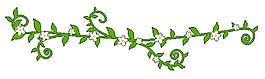 简约花藤图案元素