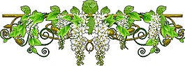 簡約高清手繪花藤圖案元素