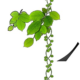 绿色简约花藤图案