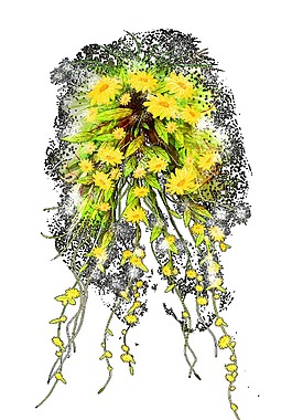 精美装饰花藤图案元素