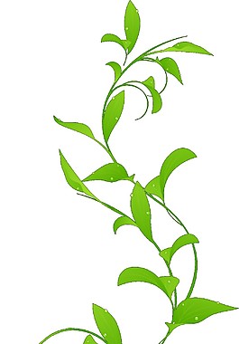 綠色裝飾花藤圖案元素