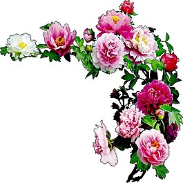 精美花藤图案元素