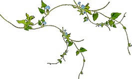 彩色手绘花藤图案元素