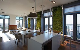 2017現(xiàn)代客廳綠植背景墻室內(nèi)裝修效果圖