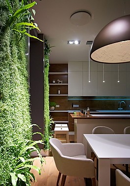 現(xiàn)代開放式廚房展示柜室內(nèi)裝修效果圖