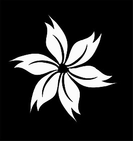 黑白花紋動(dòng)態(tài)視頻素材