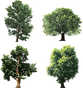 實(shí)用矢量樹(shù)裝飾素材