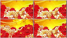 牡丹花國花中國風(fēng)動漫花開視頻素材