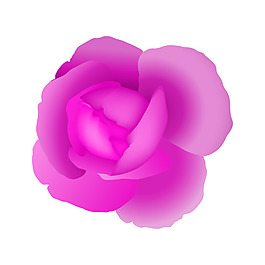 玫瑰矢量素材