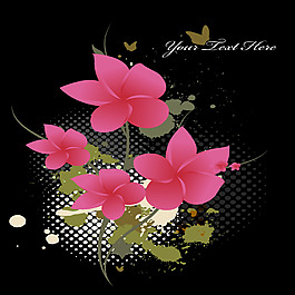 精美粉色花卉矢量素材