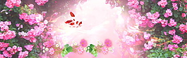 粉色花朵banner背景圖