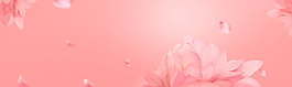 粉色荷花banner背景圖