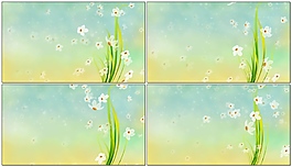 春季夏季花朵視頻素材