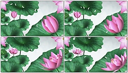 中國風(fēng)水墨荷花視頻素材