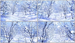 動(dòng)態(tài)高清視頻素材雪花
