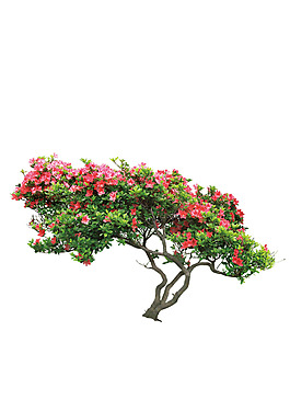 小清新花朵大樹(shù)元素