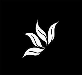 簡(jiǎn)約黑白花紋線條生長(zhǎng)視頻素材