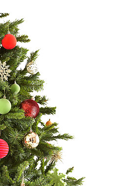 浪漫松樹圣誕元素