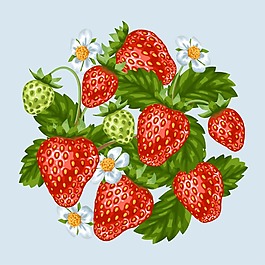 時尚新鮮誘人的草莓插畫