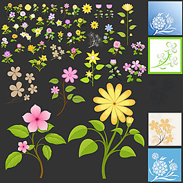 矢量精美花卉素材