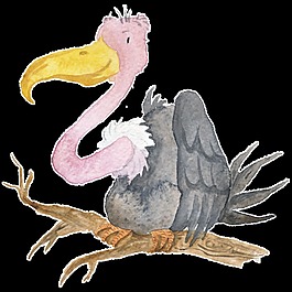 禿鷹水彩插畫素材