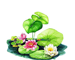 彩繪荷花圖案元素