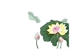 簡約荷花圖案元素